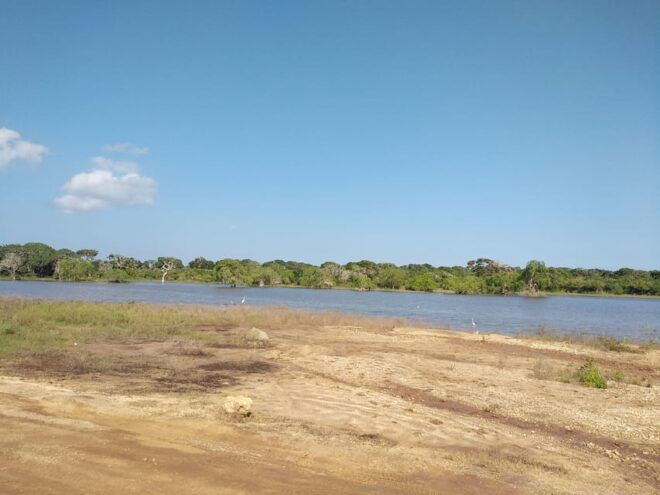 Yala National Park Safari Tour From Colombo / Galle - Wildlife and Attractions