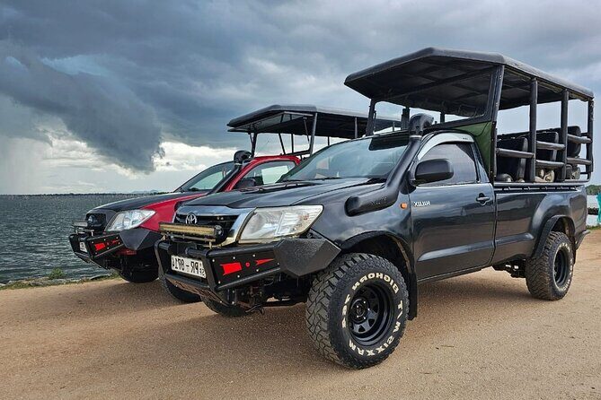 Yala National Park Safari Tours - An Honest Look at Yala Safari Tours