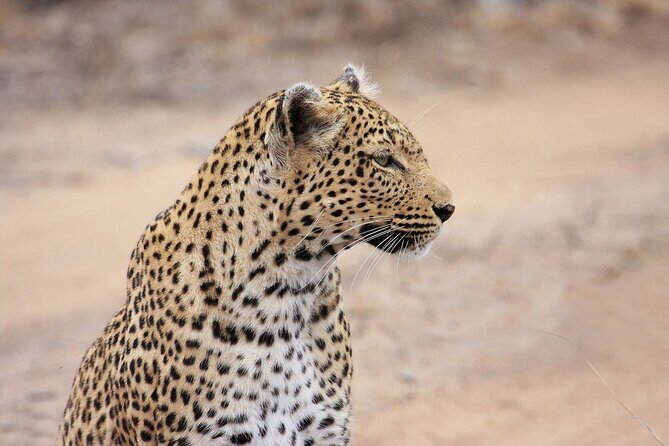 Yala National Park Safari Tours -Half Day & Full Day - FAQ