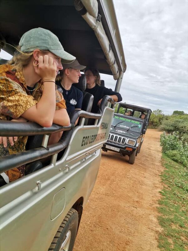 Yala National Park Safari Tours : Morning/Evening & Full-Day - Good To Know
