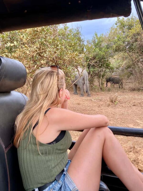 Yala National Park Safari Tours : Morning/Evening & Full-Day - The Practical Side: Transportation, Pricing, and Group Size