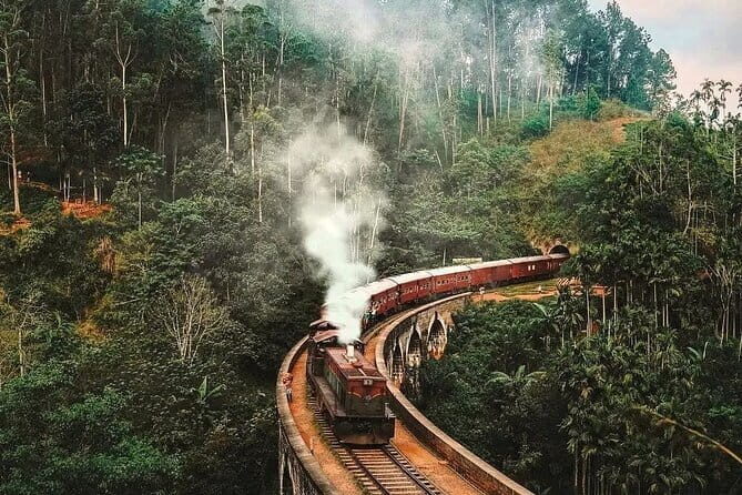 YALA National Park Safari with Transfer Hikkaduwa to Arugam Bay - Final Thoughts