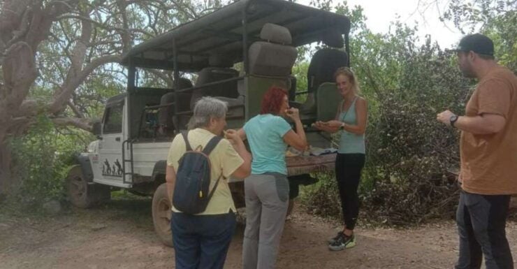 Yala National Park Sharing Safari (5 Hours) - Activity Details