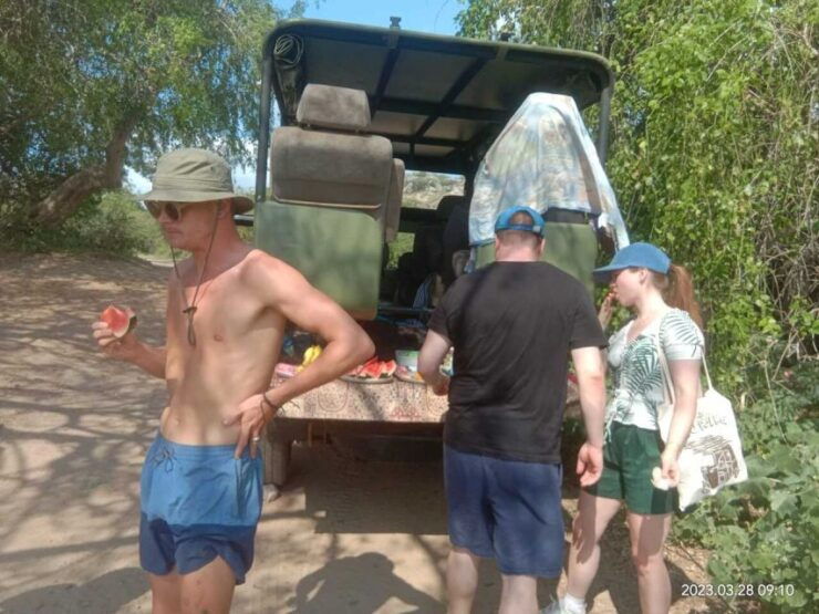 Yala National Park Sharing Safari (5 Hours) - Activity Logistics