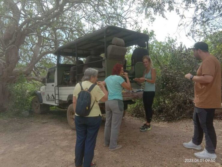 Yala National Park Sharing Safari (5 Hours) - Spotting Wildlife in Yala National Park