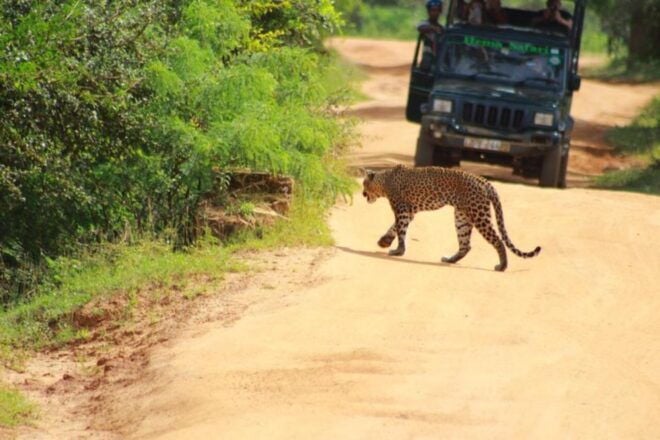 Yala National Park Sharing Safari (5 Hours) - Common Questions