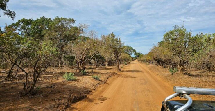 Yala National Park Wildlife Safari From Bentota - Tour Duration & Booking Details