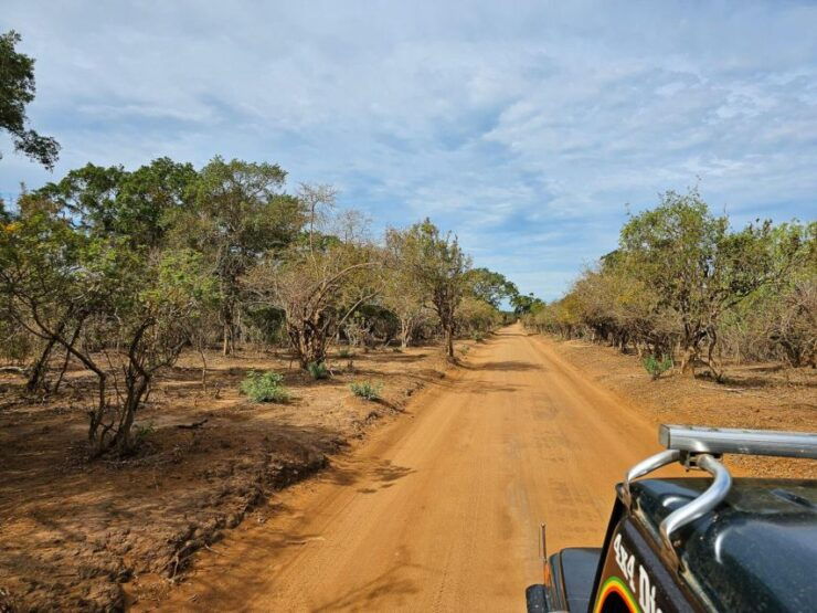Yala National Park Wildlife Safari From Bentota - Key Highlights of Yala National Park