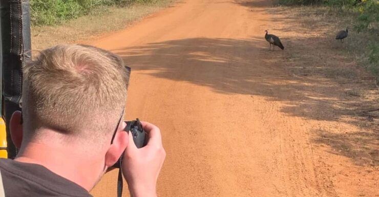 Yala National Park With Safari Jeep & Entrance Tickets - Itinerary and Experience