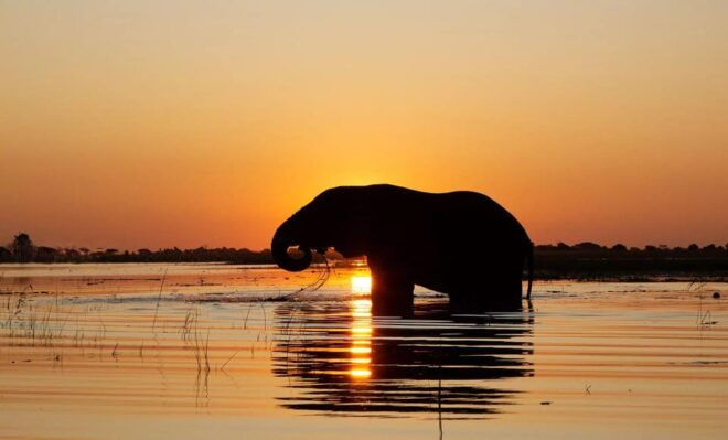 Yala National Park:Full Day Safari (4.00am-6.00pm) - Detailed Itinerary