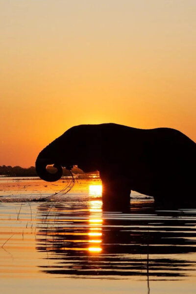 Yala National Park:Full Day Safari (4.00am-6.00pm) - Frequently Asked Questions