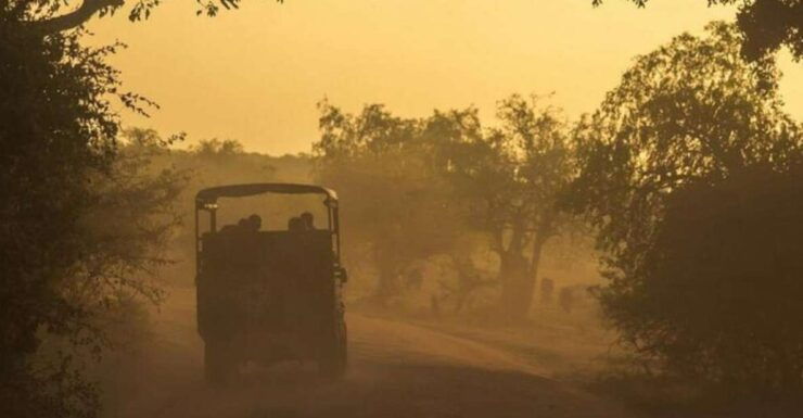 Yala: Night Drive in Yala National Park Buffer Zone! - Booking Details