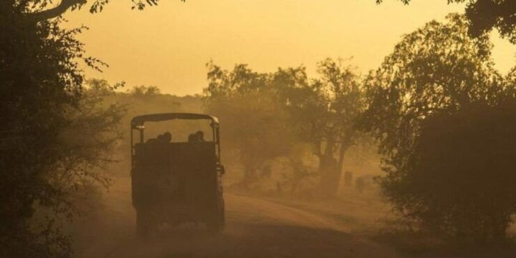 Yala: Night Drive in Yala National Park Buffer Zone! - Experience Highlights