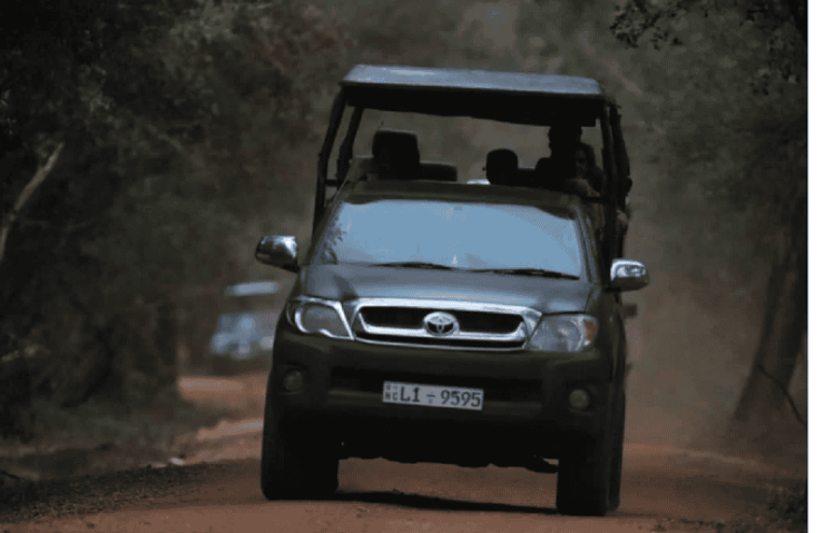 Yala Private Safari | Full Day | Guided by a Professional - Safari Experience