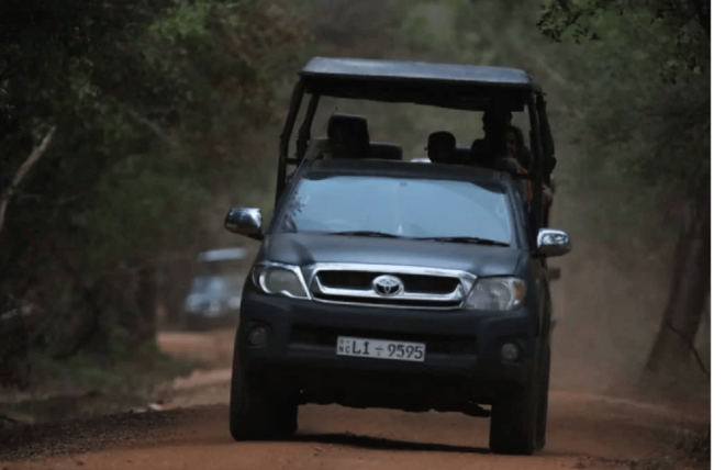 Yala Private Safari | Full Day | Guided by a Professional - Inclusions