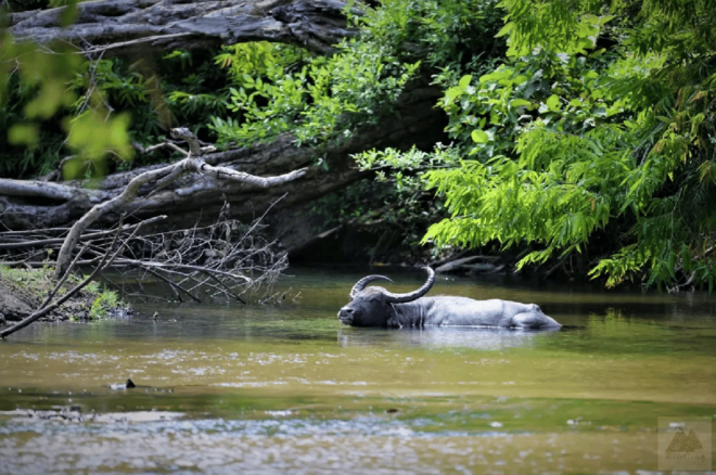 Yala Private Safari | Full Day | Guided by a Professional - Important Information