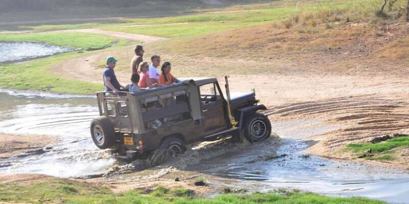 Yala Private Safari: Half-Day or Full-Day with Picnic Lunch - Discovering the Yala Safari Experience