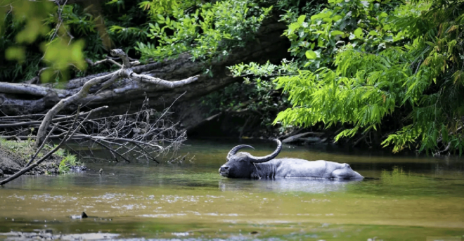 Yala Private Safari Tour Guided by a Professional - Meeting Point