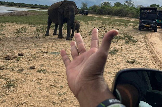 Yala Safari Day Tour - Who Should Consider This Tour?