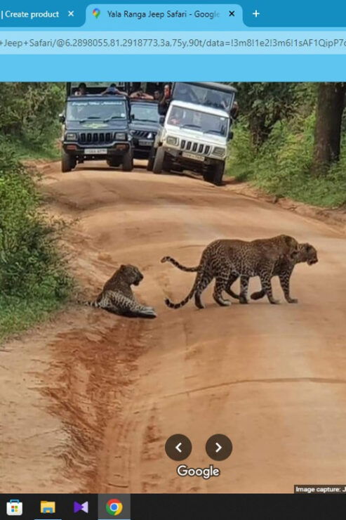 Yala Safari Day Tours - Yala National Park Highlights