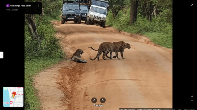 Yala Safari Day Tours - Safari Experience and Inclusions