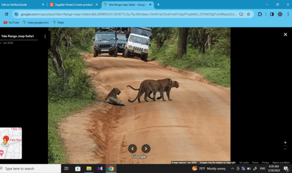 Yala Safari Day Tours - Best Time to Visit