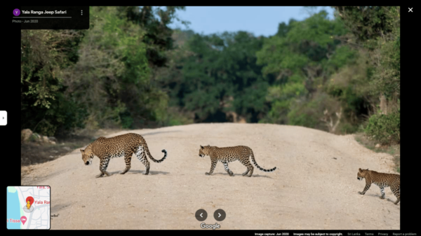 Yala Safari Day Tours - Nearby Attractions and Activities