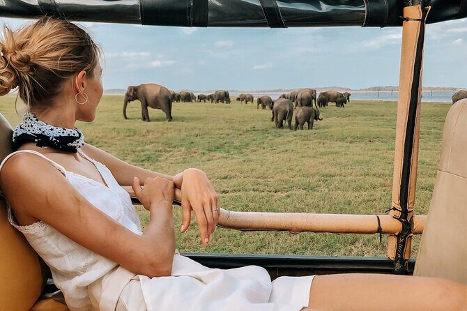 Yala Safari Day Trip from Mirissa/Weligama/Galle/Tangalle areas - Final thoughts