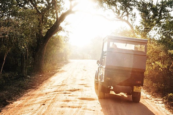 Yala Safari Half Day Tour (Game Drive) - Questions, Pricing, Copyright, and Terms