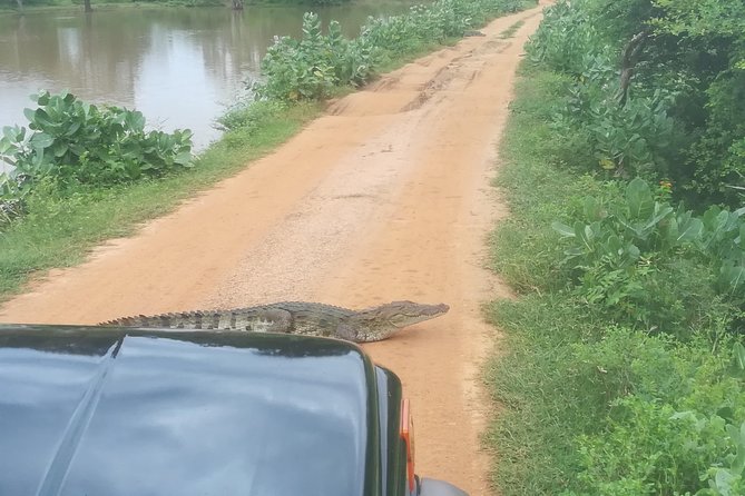 Yala Safari Jeep Tour With Abraham Travel - Cancellation and Refund Policy