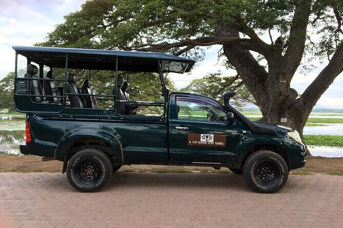 Yala Safari Tour from Hambantota Port by Ajith Safaris - The Sum Up