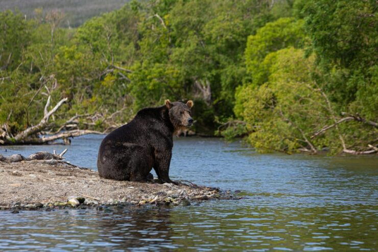 Yala Safari Tour From Hambantota Port & Mattala Airport - Good To Know