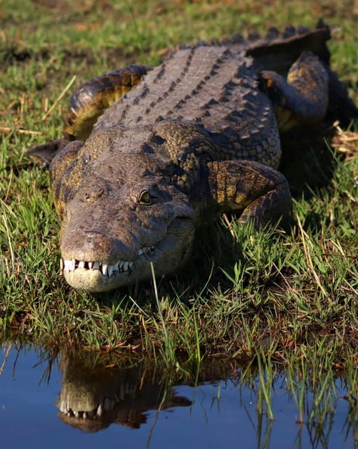 Yala Safari Tour From Hambantota Port & Mattala Airport - Itinerary Highlights