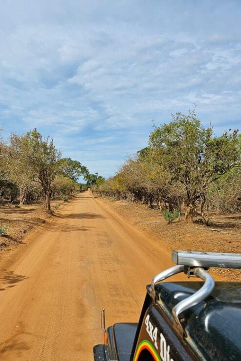 Yala Safari With Jeep and Tickets From Ella - Pricing and Booking Options