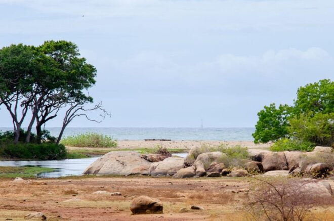 Yala Safari With Jeep & Entrance Tickets From Colombo - Wildlife Viewing Highlights