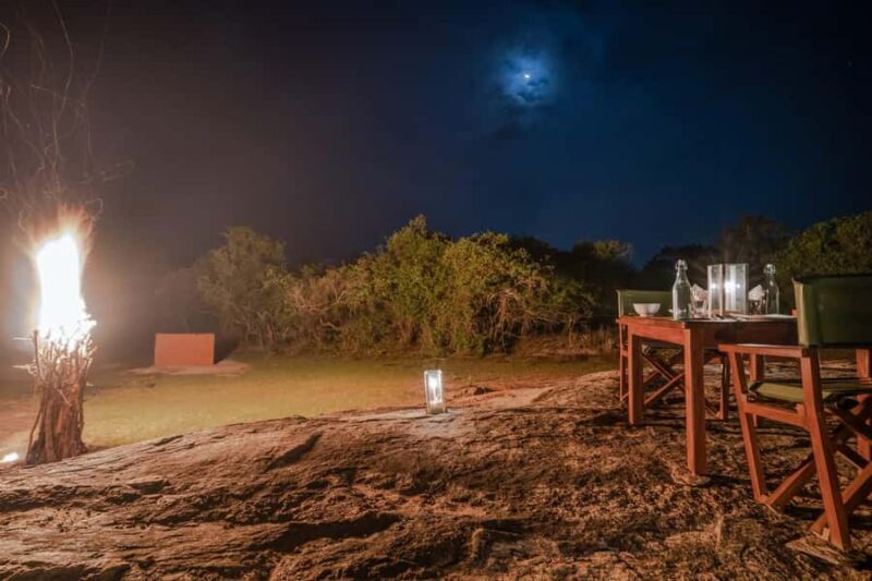 Yala: Stargazing Jungle BBQ Night - Good To Know