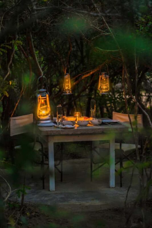 Yala: Stargazing Jungle BBQ Night - The Food: Freshly Caught and Flame-Grilled