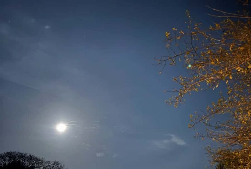 Yala: Stargazing Jungle BBQ Night - Stargazing and Nighttime Exploration