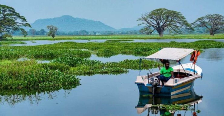 Yala: Sunset Tour by Boat & Beach BBQ Dinner! - Activity Highlights and Inclusions