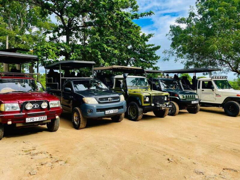 Yala, Udawalawe Safari & Elephant Home Lifetime Experience - Setting the Scene: What’s Included?