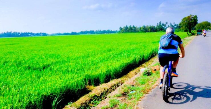 Yala: Village Cycling Tour - Activity Details