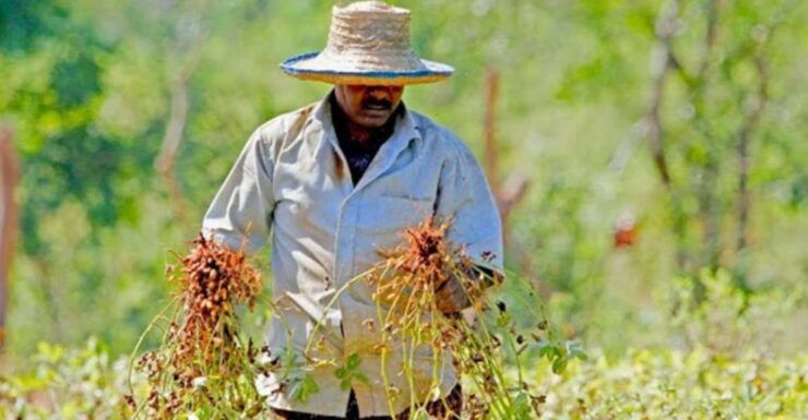 Yala: Village Life Exploration Tour! - Activity Details