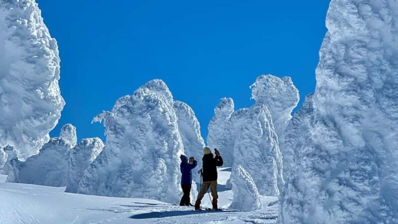 Yamagata: Ice Monster Snow Hiking with Local Guide - Good To Know
