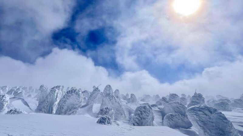 Yamagata: Ice Monster Snow Hiking with Local Guide - Final Thoughts