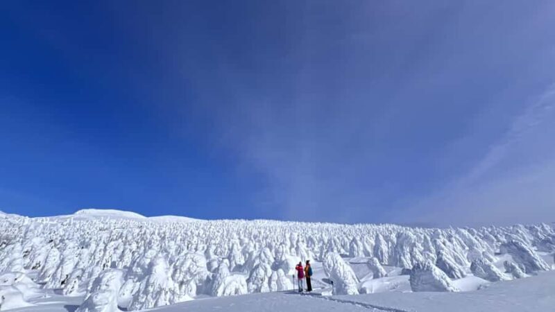Yamagata: Ice Monster Snow Hiking with Local Guide - Good To Know