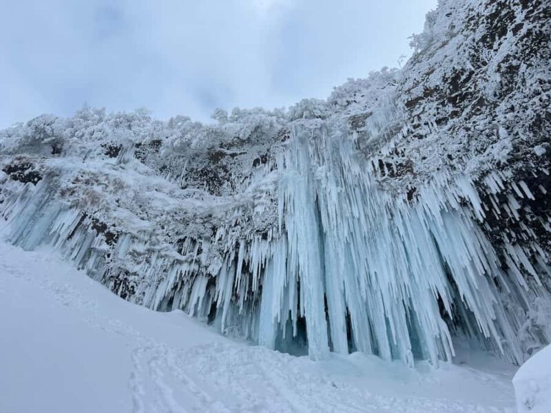 Yamagata: Icefall Ice Monster Snow Trekking with Local Guide - Cost & Value Analysis