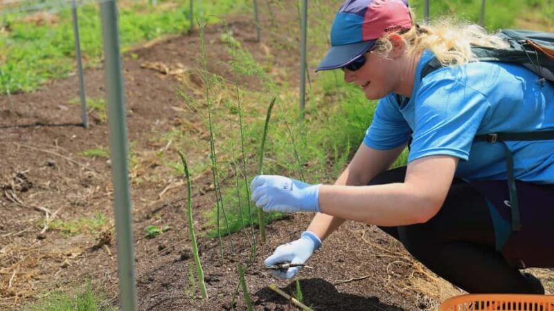 Yamagata, Japan: Yamagata Ramen Farm to Table E-Bike Tour - FAQ