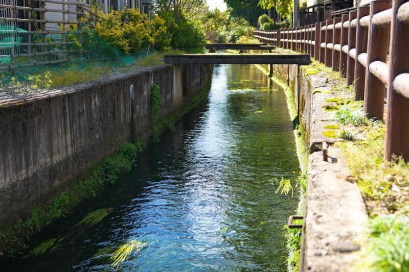 Yamagata: Okitama Cultural E-Bike Tour with Lunch - Good To Know