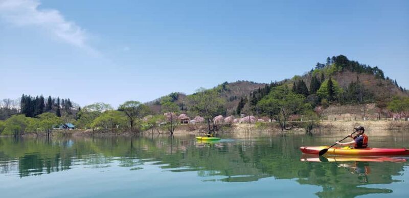 Yamagata: Private Canoe Tour in Submerged Forest - The Sum Up