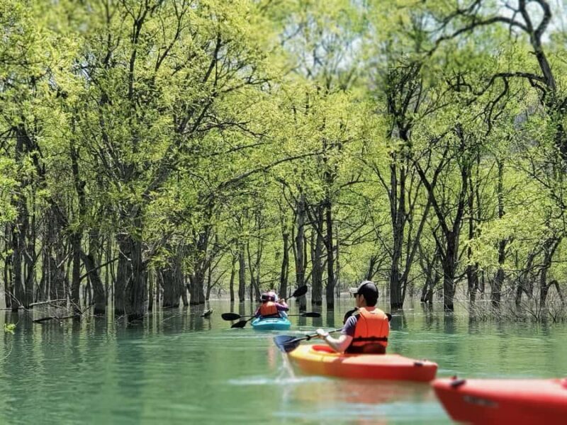 Yamagata: Private Canoe Tour in Submerged Forest - Good To Know
